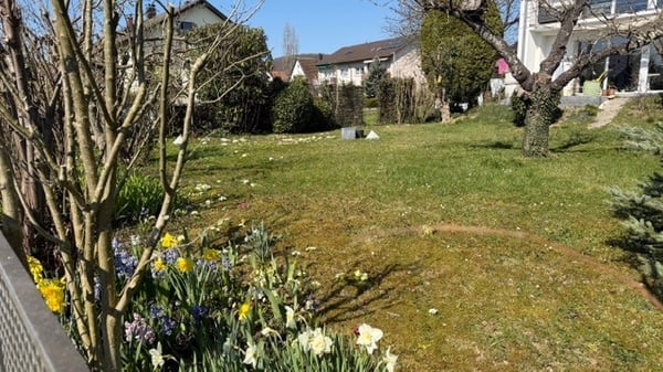 Wunderschönes Haus mit Garten und Garage 5