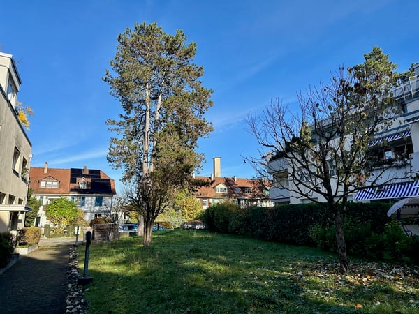 Tolle Wohnung an ruhiger Lage mit Aussicht ins Grüne in Riehen 4
