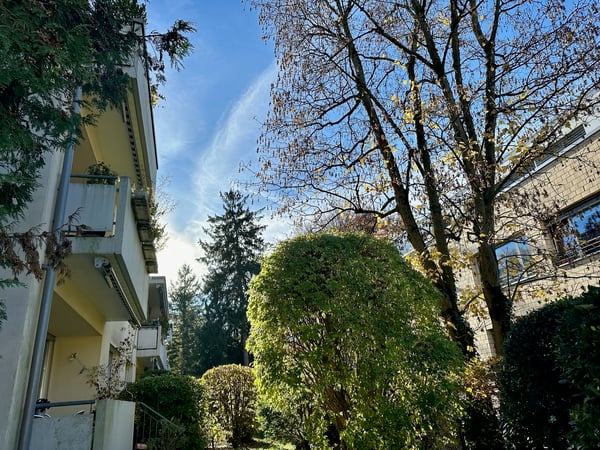 Tolle Wohnung an ruhiger Lage mit Aussicht ins Grüne in Riehen 13