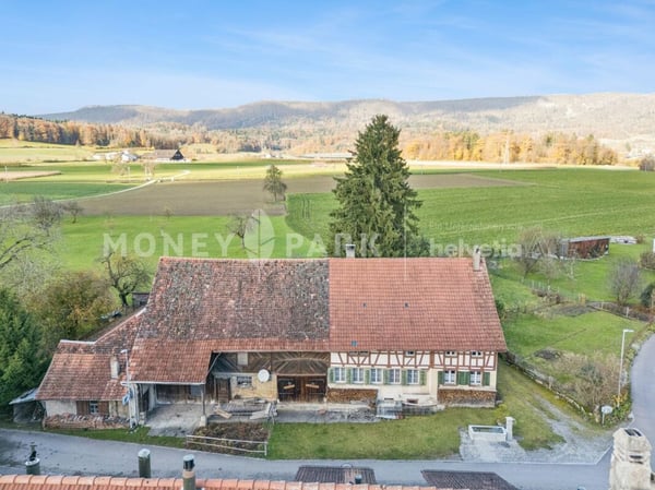 Historischer 1.5-Zimmer-Bauernhof mit grossem Umschwung und viel Potenzial 13