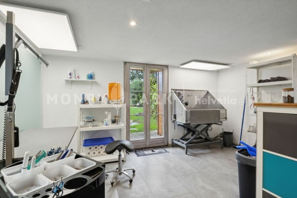 Historisches Haus mit modernem Flair - im Doppelpack 25