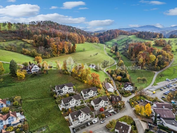 Wohlfühloase über den Dächern von Bubendorf - Ruhe, Aussicht und Privatsphäre 17