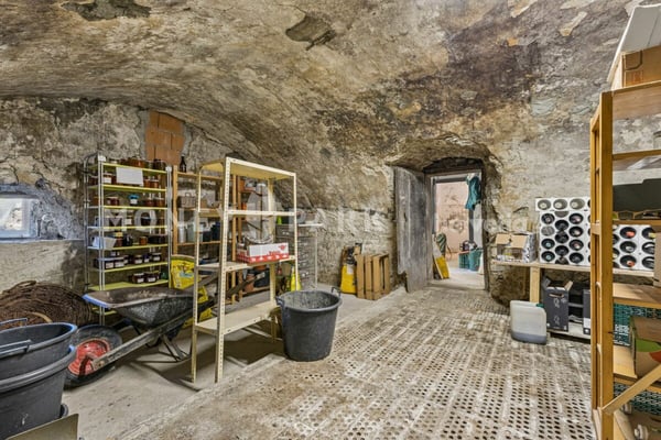 Magnifique propriété de 8 pièces avec hangar technique et quatre garages 18