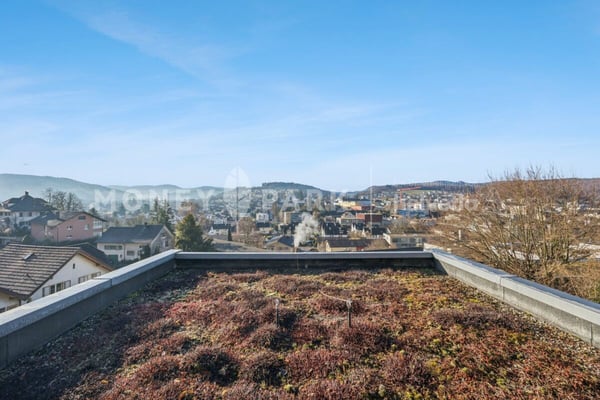 Terrassenwohnung mit Panoramablick über Liestal 13