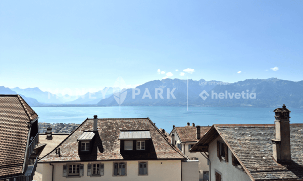 Magnifique appartement dans les combles 16