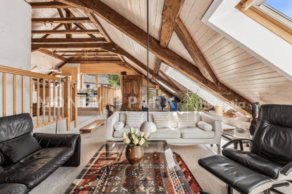Magnifique appartement dans les combles 8