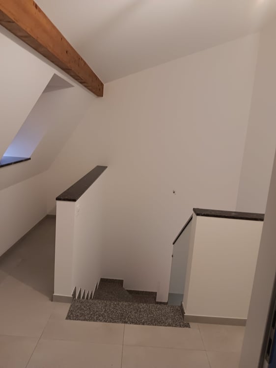 Modernes Doppeleinfamilienhaus in ruhiger Lage in Erschwil 15