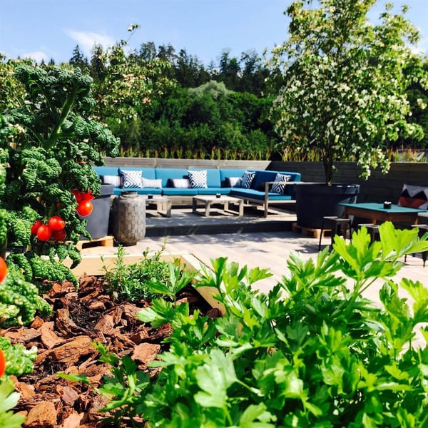 Vielseitige und zahlbare Gewerbeflächen ab 150 bis 5'000m2 10