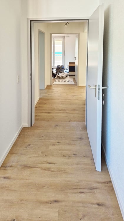 Frisch renovierte 1.5-Zimmer-Wohnung mit Terrasse in Ascona zu vermieten 17