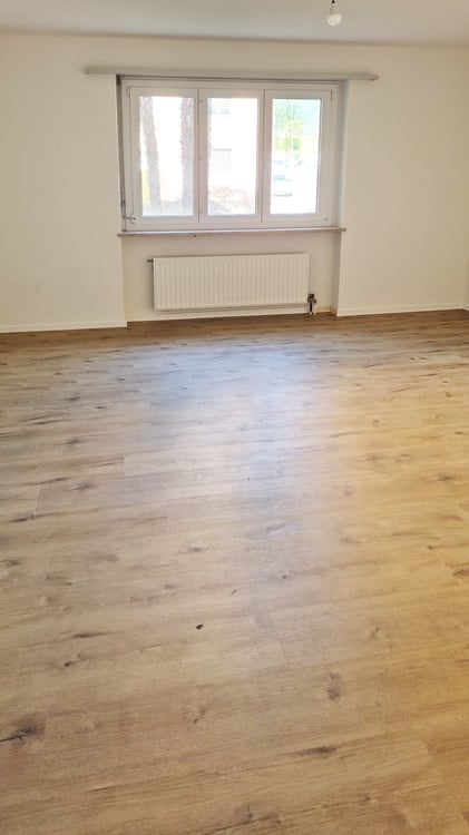 Neu renovierte 2.5 Zi. Apartment in Ascona zu vermieten 11