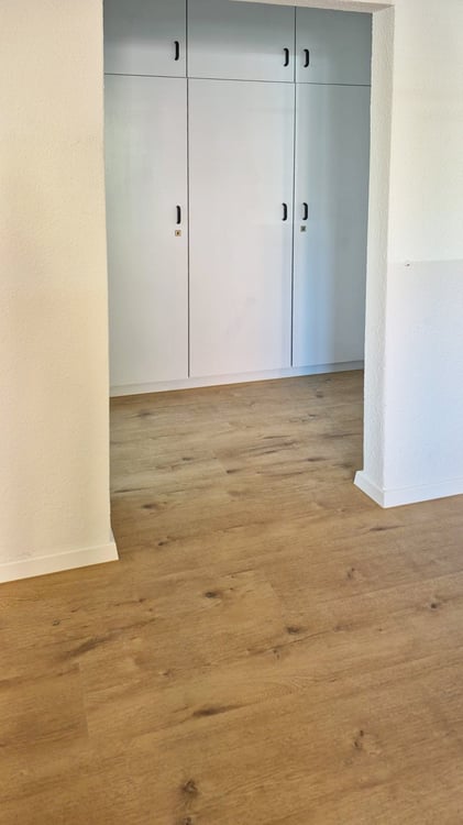 Neu renovierte 2.5 Zi. Apartment in Ascona zu vermieten 10