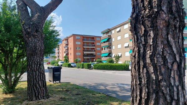 Neu renovierte 2.5 Zi. Apartment in Ascona zu vermieten 3