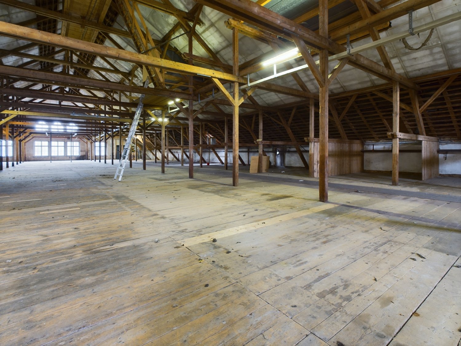 Wooden floor, wooden trusses, windows on the side wall