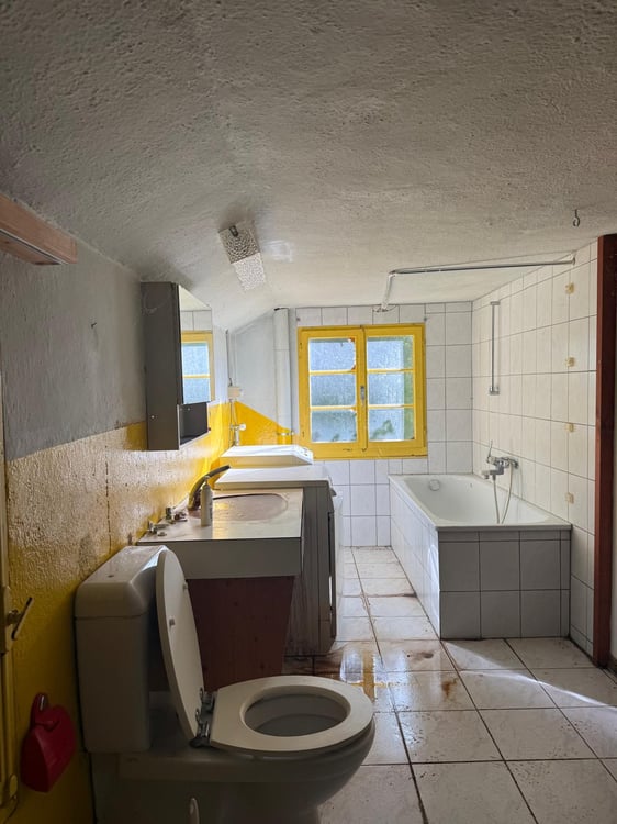 Idyllische Scheune in Bubikon – Wohnen, Leben und Arbeiten auf dem Land 19