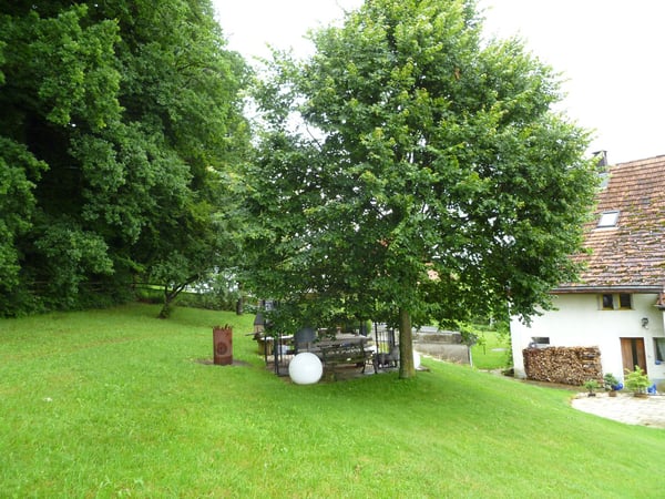 Idyllische Scheune in Bubikon – Wohnen, Leben und Arbeiten auf dem Land 29