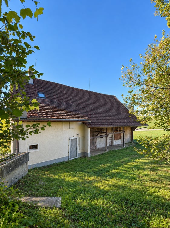 Idyllische Scheune in Bubikon – Wohnen, Leben und Arbeiten auf dem Land 2
