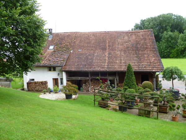 Idyllische Scheune in Bubikon – Wohnen, Leben und Arbeiten auf dem Land 28