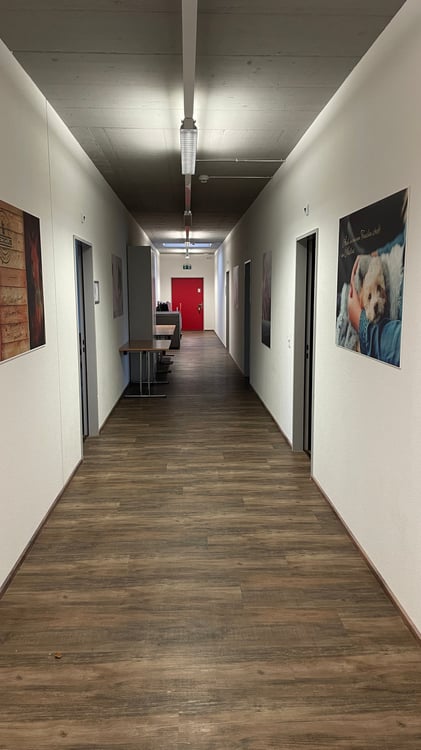 Moderne Büroräumlichkeiten in Luzern-Littau 1
