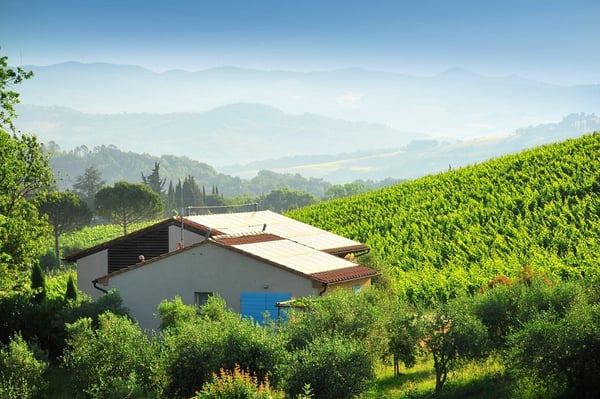 Einzigartiger Bio-Landwirtschaftsbetrieb an der toskanischen Küste 5