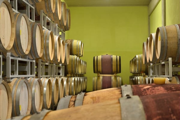 Einzigartiger Bio-Landwirtschaftsbetrieb an der toskanischen Küste 6