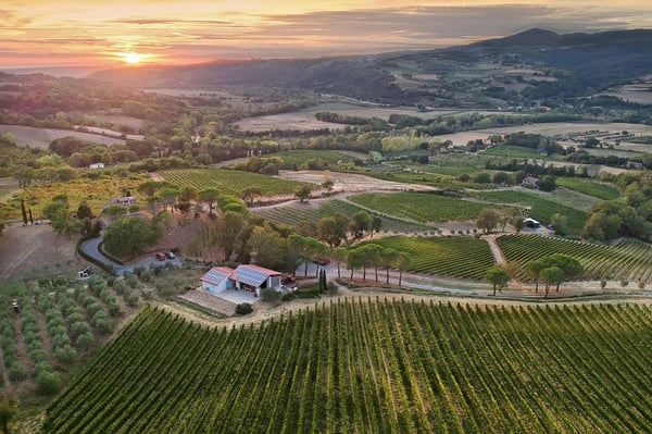 Einzigartiger Bio-Landwirtschaftsbetrieb an der toskanischen Küste 1