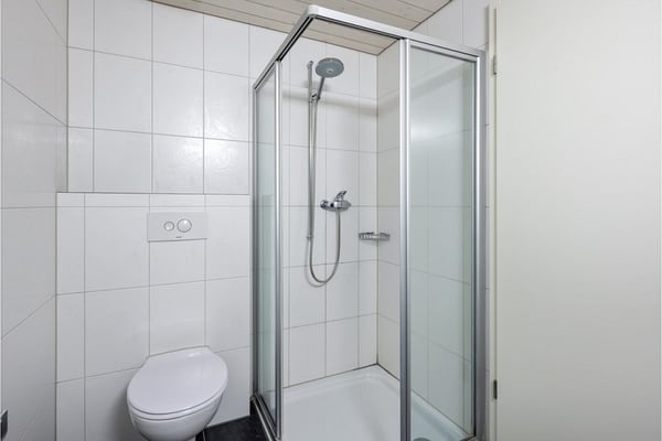 5.5-Zimmer-Reihenmittelhaus mit Garten und ca. 200 m² Nutzfläche 6