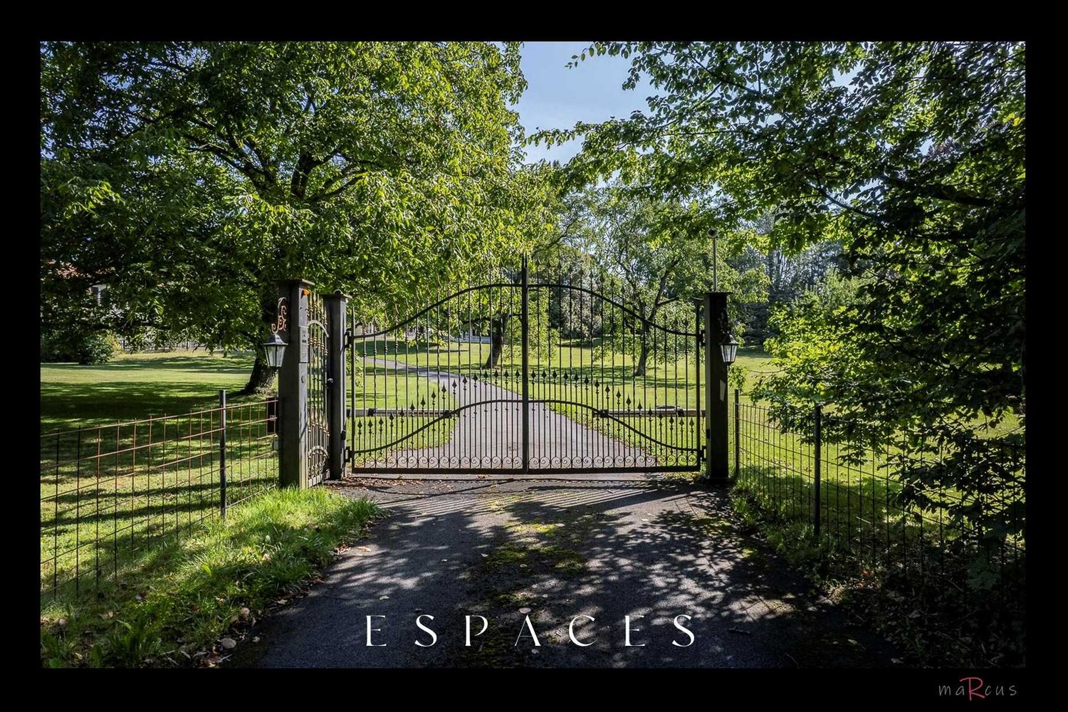 gate, lawn, trees, shadows, grass, fences