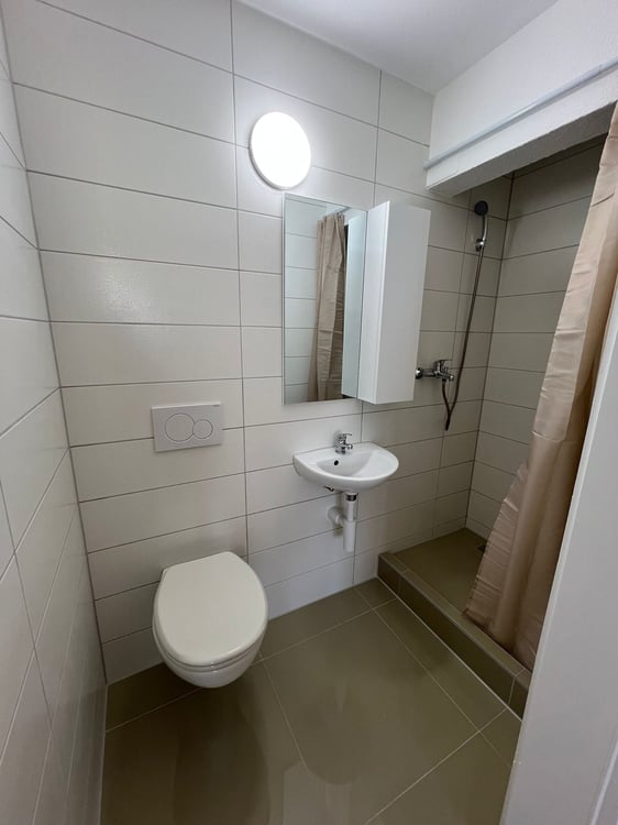 Helles 1.5-Zimmer-Apartment in ruhiger Lage in Dietlikon 3