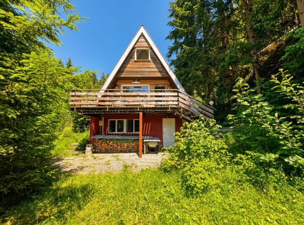 Ferienhaus in Alpthal - Bergpanorama inklusive 1