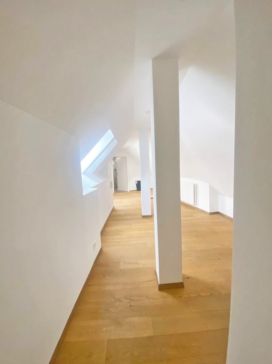 Geräumige und gemütliche 1-Zimmerwohnung im Zentrum der Stadt! 5