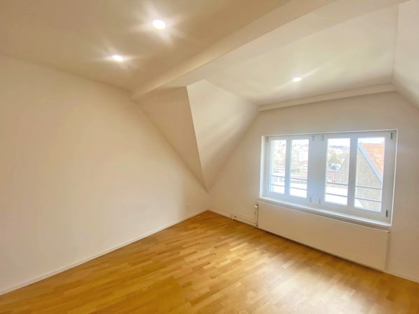 Geräumige und gemütliche 1-Zimmerwohnung im Zentrum der Stadt! 4