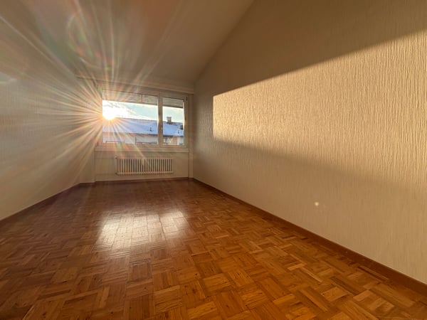 Gemütliche 1.5 Zimmer Wohnung im ruhigen, idyllischen Brunnadern 6