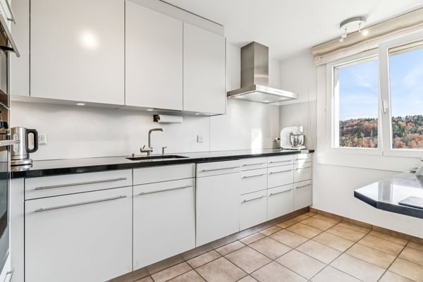 SONNE, GARTEN, PANORAMA 3