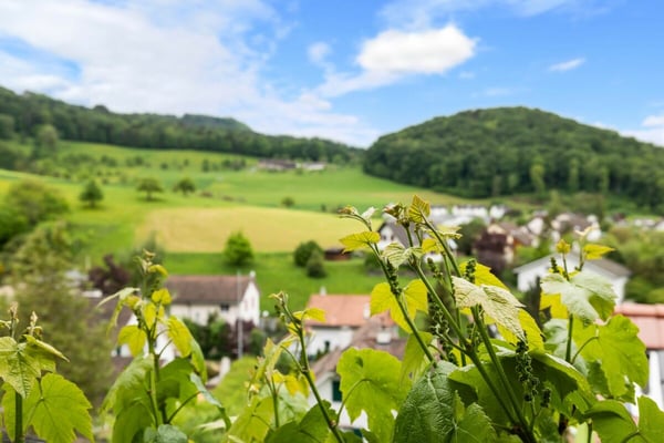 Exklusive Südhanglage: Freistehendes Einfamilienhaus mit Panorama und Privatsphäre 20