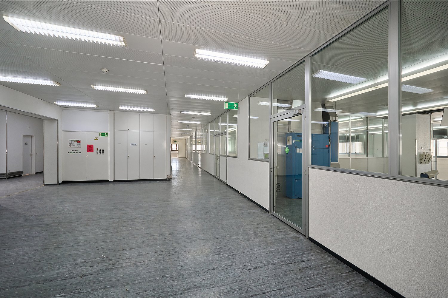 Empty office space with glass walls, white walls, gray floor, fluorescent ceiling lights, and a blue cabinet.