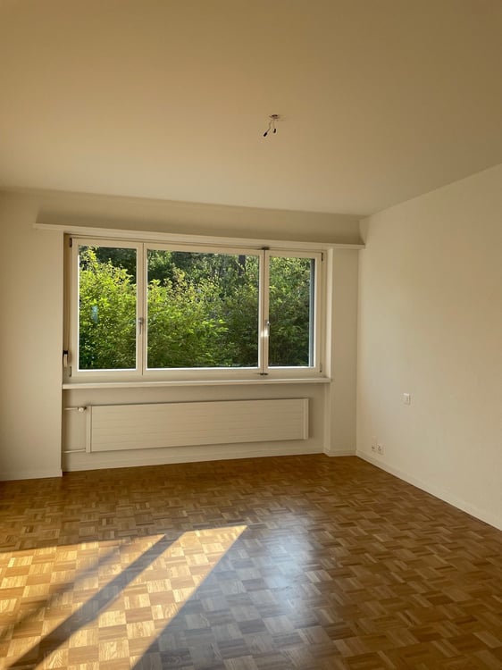 Über den Dächern von Zürich 10