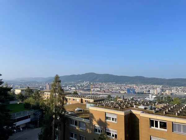 Über den Dächern von Zürich 2