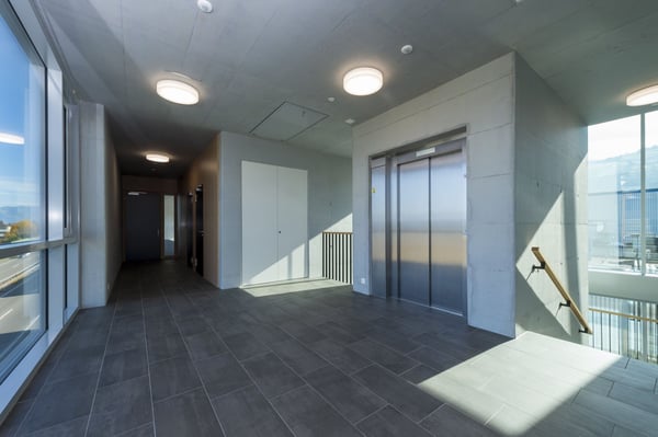 THE LINE - Letzte freie Fläche mieten 7