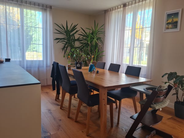 Neu, hell und zentral gelegen 3