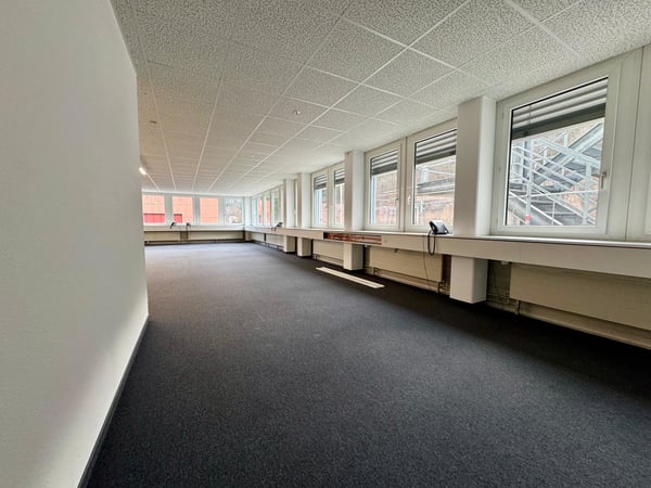 Lichtdurchflutet & grossflächig 3