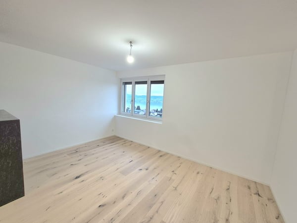 Modern mit Terrasse und Seeblick 7