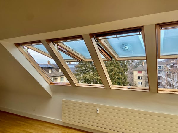 Charmanter Altbau beim Zoo 7