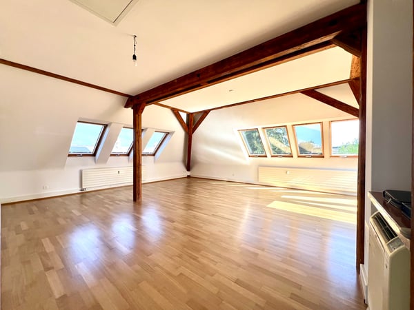 Charmanter Altbau beim Zoo 2