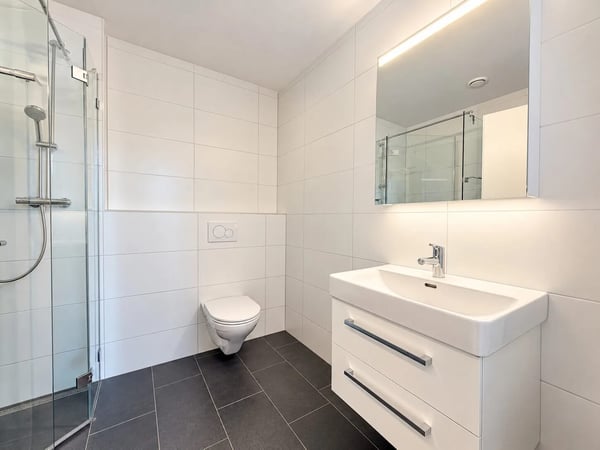 4.5-Zimmer-Penthouse mit Dachterrasse in Therwil mieten 5