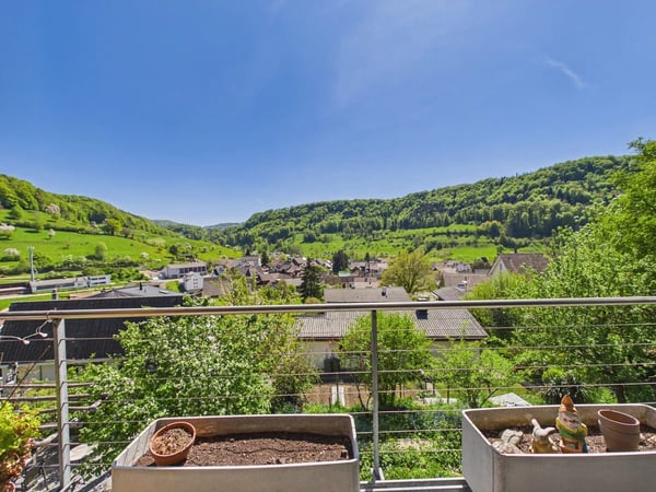 4.5-Zimmer-Doppelhaus mit Weitblick ins Grüne in Rothenfluh kaufen 13