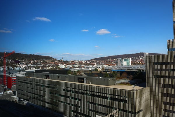 Blick auf Zürcher-Skyline, den Uetliberg und auf die Glarner Berge 8