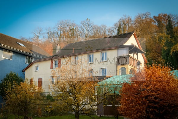 Einmailige Chance - Charmantes 2-Zimmer-Mehrfamilienhaus in Möriken-Wildegg 3