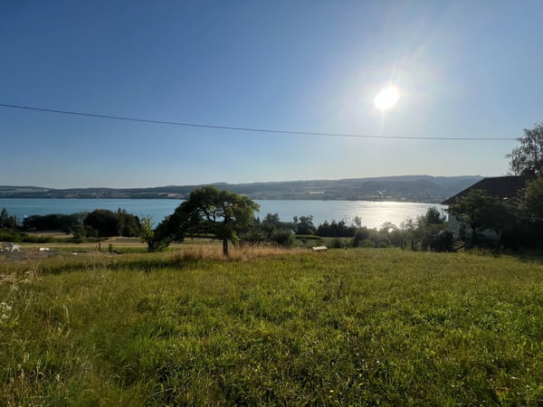 Einmalige Gelegenheit: Bauland mit unverbaubarer Seesicht am Hallwilersee 7