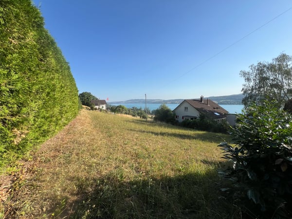 Einmalige Gelegenheit: Bauland mit unverbaubarer Seesicht am Hallwilersee 3