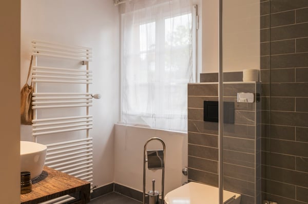 Furnished Service Apartments with view on Lake Geneva and in between vineyards 8